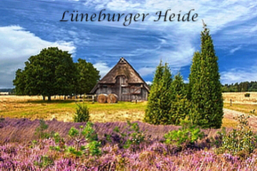 Lüneburger Heide