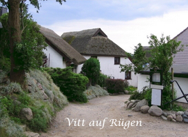 Vitt auf Rügen